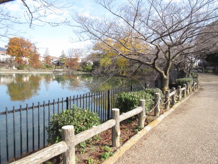 水月公園(公園)まで300m エルプラッツ石橋(602)