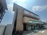 セルサスパ－ル