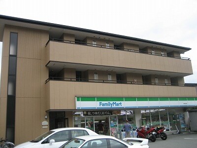 その他 セルサスパ－ル