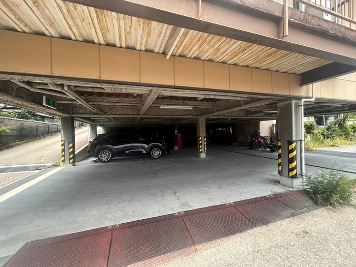 その他 セルサスパ－ル