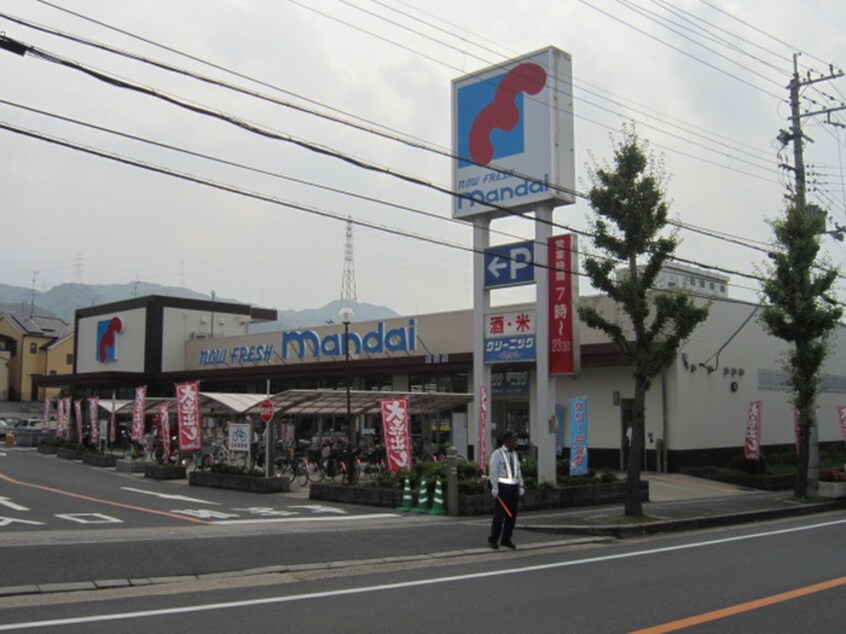 マンダイ(スーパー)まで774m Ｍプラザ津田駅前 八番館