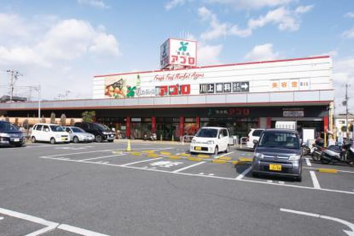 スーパーアプロ堺水池店(スーパー)まで160m メゾンアベニール
