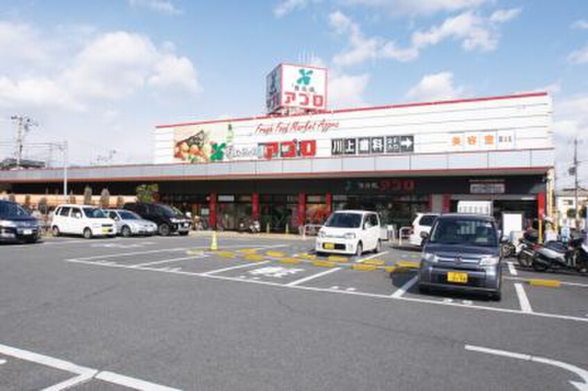 スーパーアプロ堺水池店(スーパー)まで160m メゾンアベニール