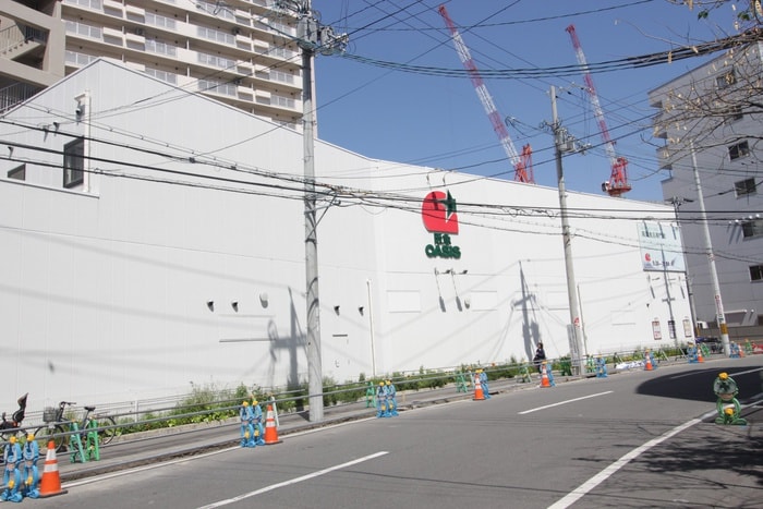 OASIS(スーパー)まで505m ハイコスモ淡路