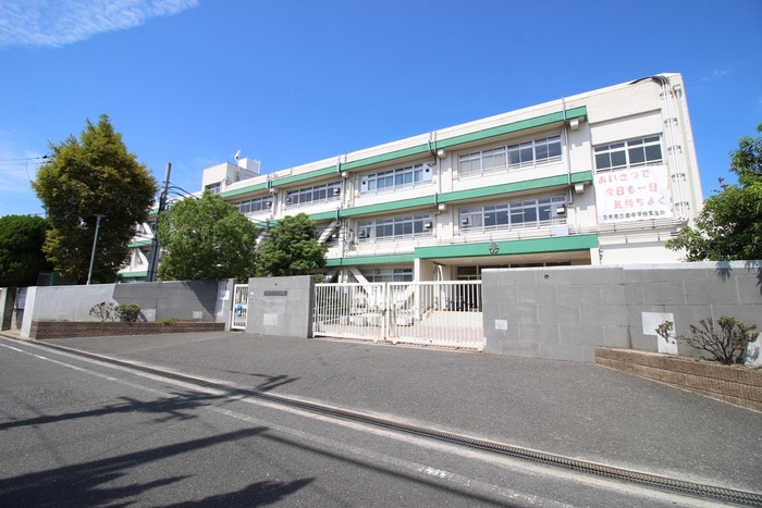 南中学校(中学校/中等教育学校)まで600m シャルマン若園