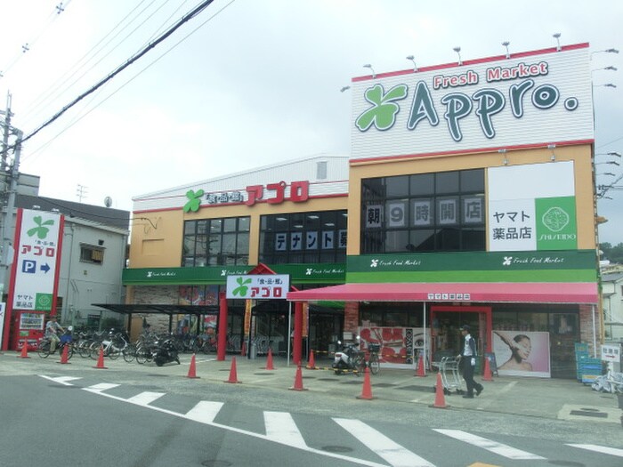 アプロ(スーパー)まで1100m あんしん+VieM玉手町13-1016