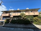 ＣＡＳＡ　ＩＫＵＭＡＴＡ　Ⅴの外観