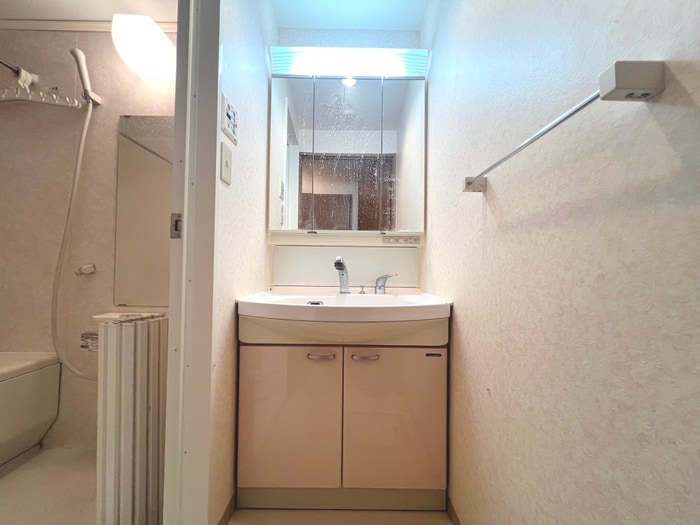 洗面 サンロイヤル　スミ