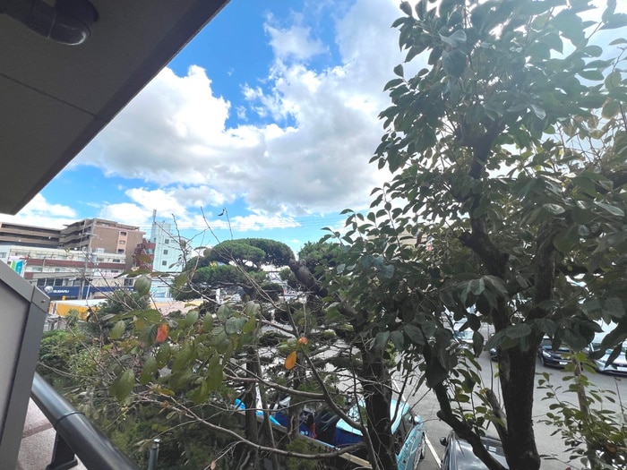 室内からの展望 サンロイヤル　スミ