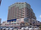 レバンテ(ショッピングセンター/アウトレットモール)まで500m 藤田荘