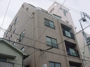 ラパンジ－ル大国