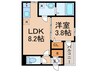 F asecia Rad 1LDKの間取り