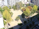 日吉公園(公園)まで469m アビタシオンレオニス