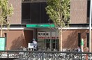 りそな銀行(銀行)まで350m ノルデンハイム天神橋