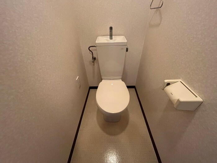 トイレ ザ・ピ－チツリ－