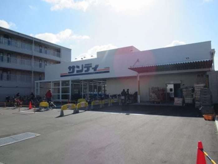サンディ八戸ノ里店(スーパー)まで675m カーサ・オストロ