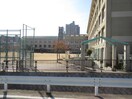 成徳井小学校(小学校)まで250m ｺﾝﾌﾞﾘｵｱﾀﾞﾁ