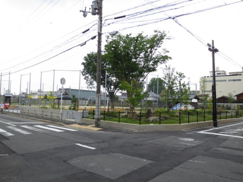 橘公園(公園)まで29m グランシャリオ智恵光院