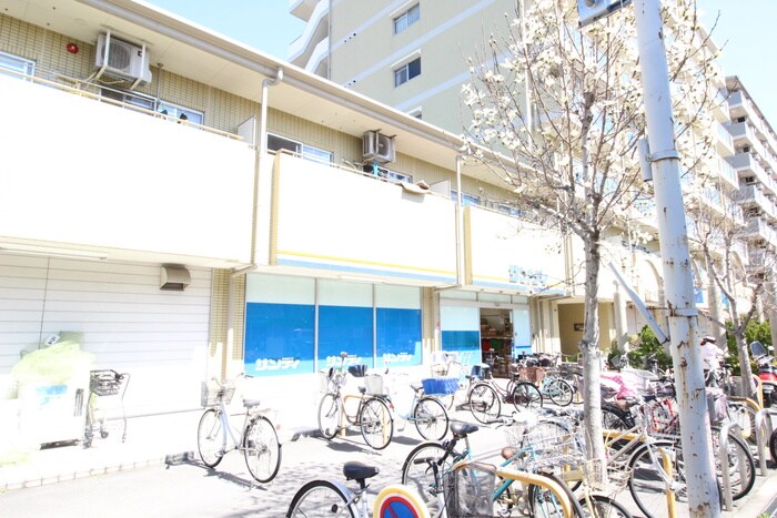 サンディ 大蓮店(スーパー)まで580m クリスタルガ－デン　リリ－