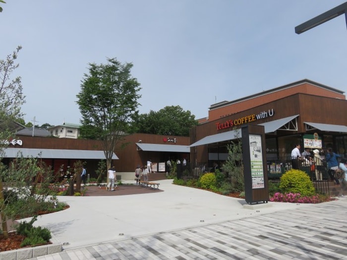 ダイコクドラッグ(ドラッグストア)まで800m シャルマン