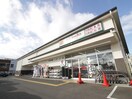 キリン堂京都川島店(ドラッグストア)まで300m ロココ桂