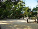 西田公園(公園)まで620m メインステージ夙川(102)
