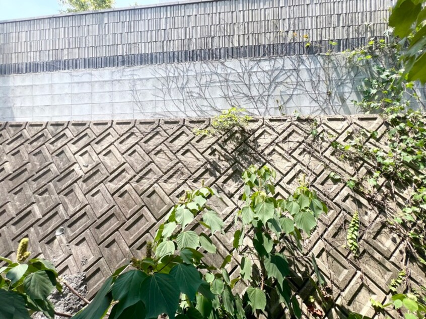 室内からの展望 ラ・コ－トはびきの
