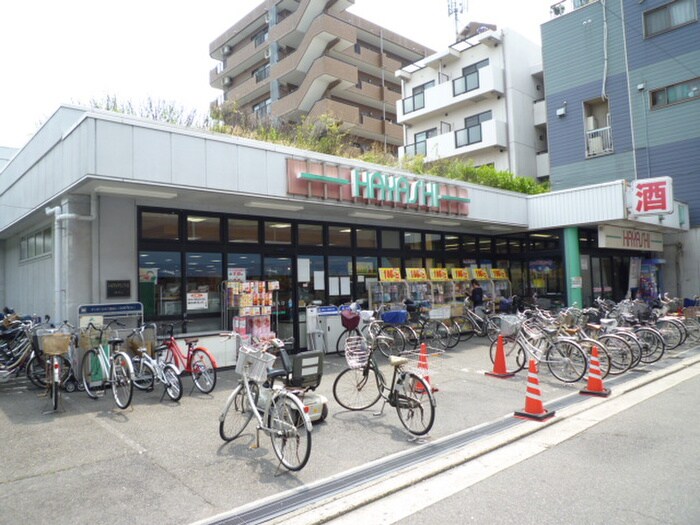 スーパーはやし堺市駅前店(スーパー)まで300m レザムール
