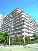 大淀町スカイハイツ(317)の外観