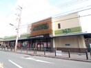 SATAKE千里丘店(スーパー)まで250m ミタカハイツ