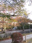 周辺環境 ガーネット哲学道