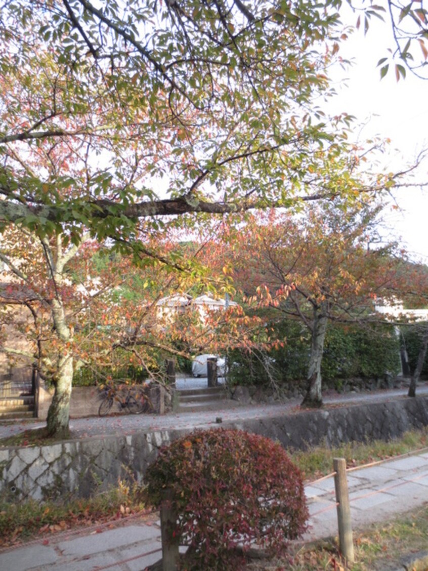 周辺環境 ガーネット哲学道