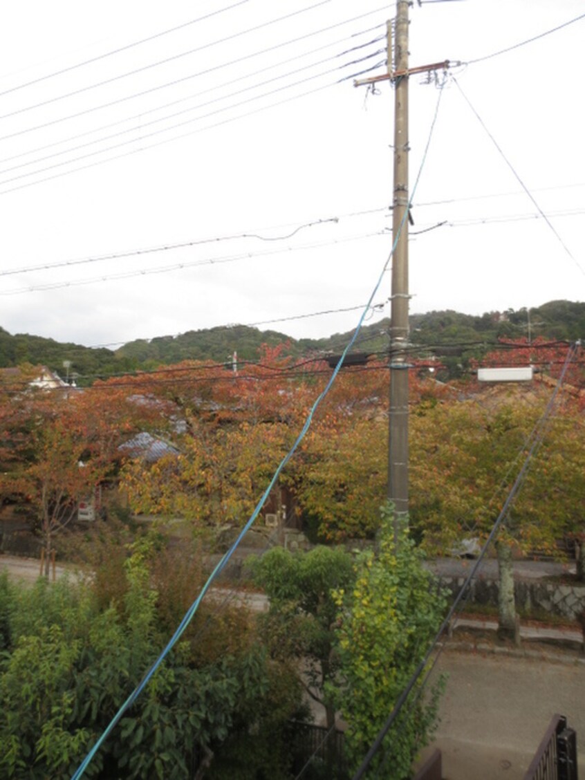 周辺環境 ガーネット哲学道