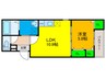 フジパレス堺鳳中町ノース 1LDKの間取り