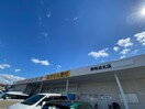 スギ薬局(ドラッグストア)まで350m パストラーレ久米田