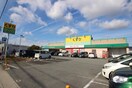 サーバー(ドラッグストア)まで330m 東ハイツ宝塚