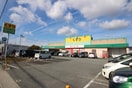 サーバー(ドラッグストア)まで330m 東ハイツ宝塚
