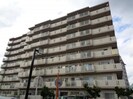 ｻﾝﾛｲﾔﾙ北園田ﾌﾞﾗﾝｼｭｰﾙ(315)の外観