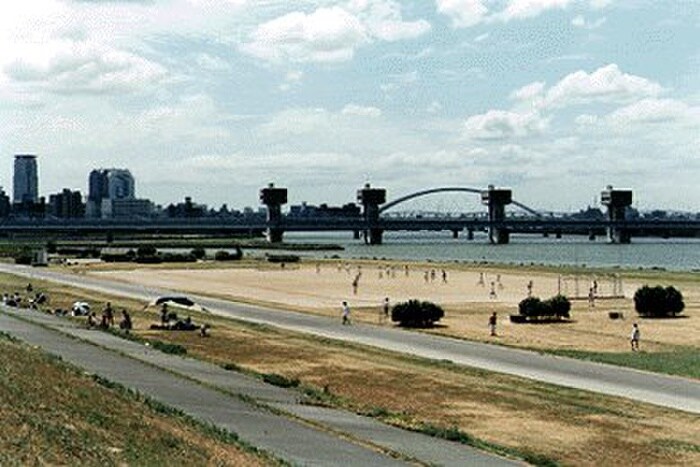 淀川河川公園(公園)まで120m F asecia TINO