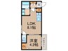 F　asecia Leggiero 1LDKの間取り