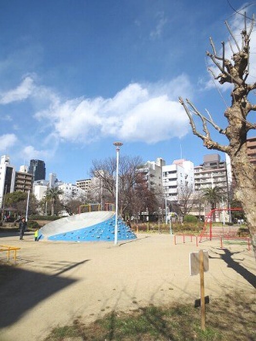 中大江公園(公園)まで170m Ｋｓ　Ｃｏｕｒｔ東本町