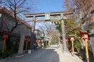服部住吉神社(公園)まで253m シャルレ服部