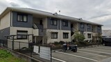 メゾンモチの木