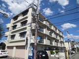 メゾンマツバ