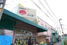 ニッコー(スーパー)まで900m ハイツ和路
