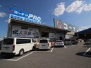 ホームセンターコーナン 寝屋川仁和寺店(電気量販店/ホームセンター)まで381m ヴェルデマーレ