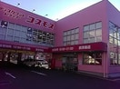 コスモス(ディスカウントショップ)まで515m アヴニール
