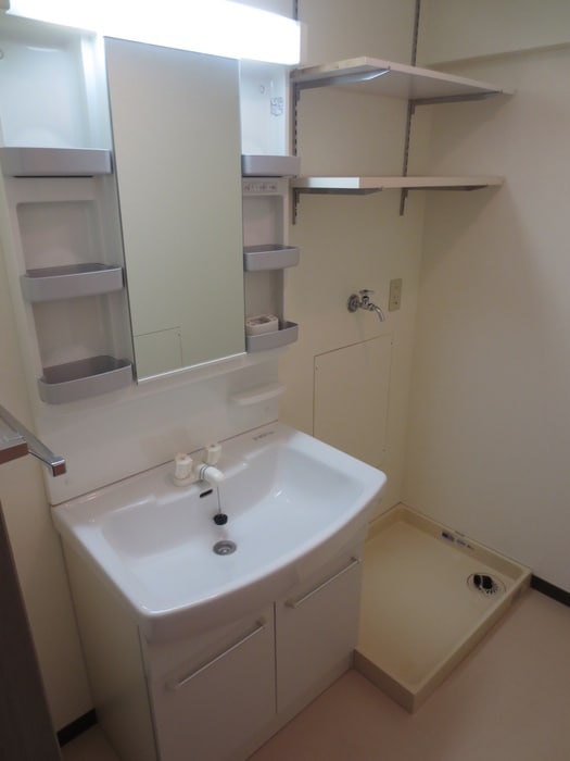 洗面 パルハセトン十三