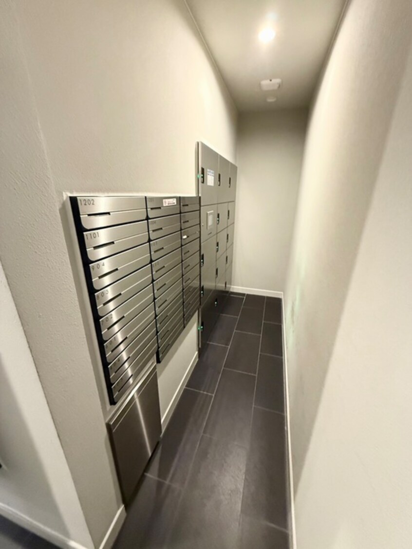 建物設備 アドバンス天王寺南パキラ