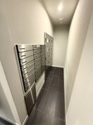 建物設備 アドバンス天王寺南パキラ